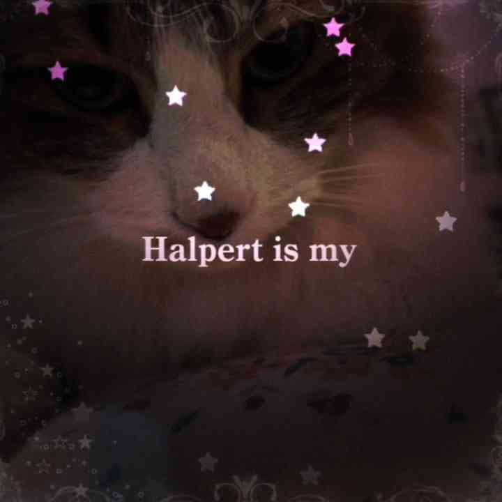Halpert is my kitty//MIXABLE PLEASE GIVE CREDITS IF YOU USE// ONLY ON KINEMASTER//##pillbabytwotime #kinemasterpleasedontreject #edit #cat #nightshade_yey