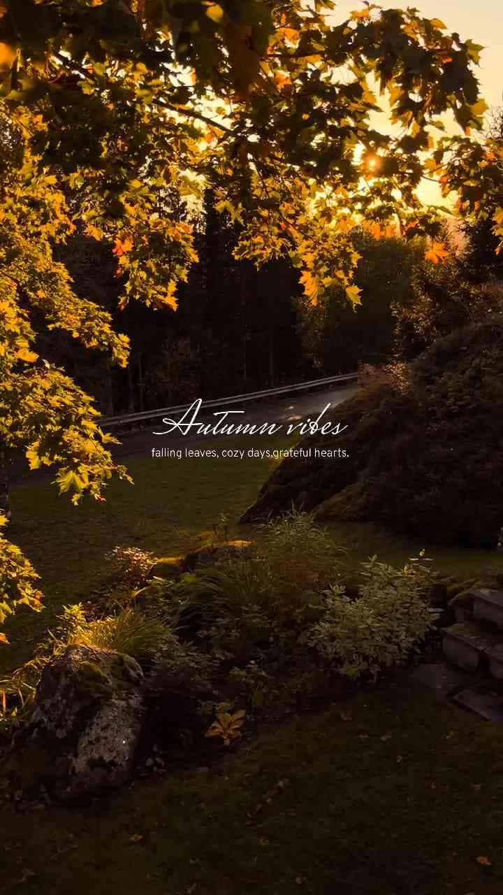 Autumn days, golden light, and memories to keep 🍂✨ #autumn #autumnvibes #fall #fallvibes #autumnleaves #cozyseason #october #november #nature #lifestyle #cinematic #aesthetic #memories #moments #photoroll #edit #videoedit #reels #shorts #tiktok #instagram #youtube Free audio from Pixabay 🎵