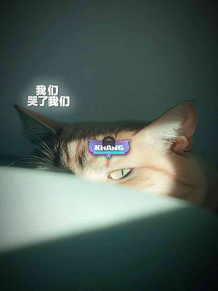 GẶP NGƯỜI ĐÚNG LÚC | 刚好遇见你 - Remix | Vietnam trends #china #kinemaster #ツイッター #edit #template #fyp